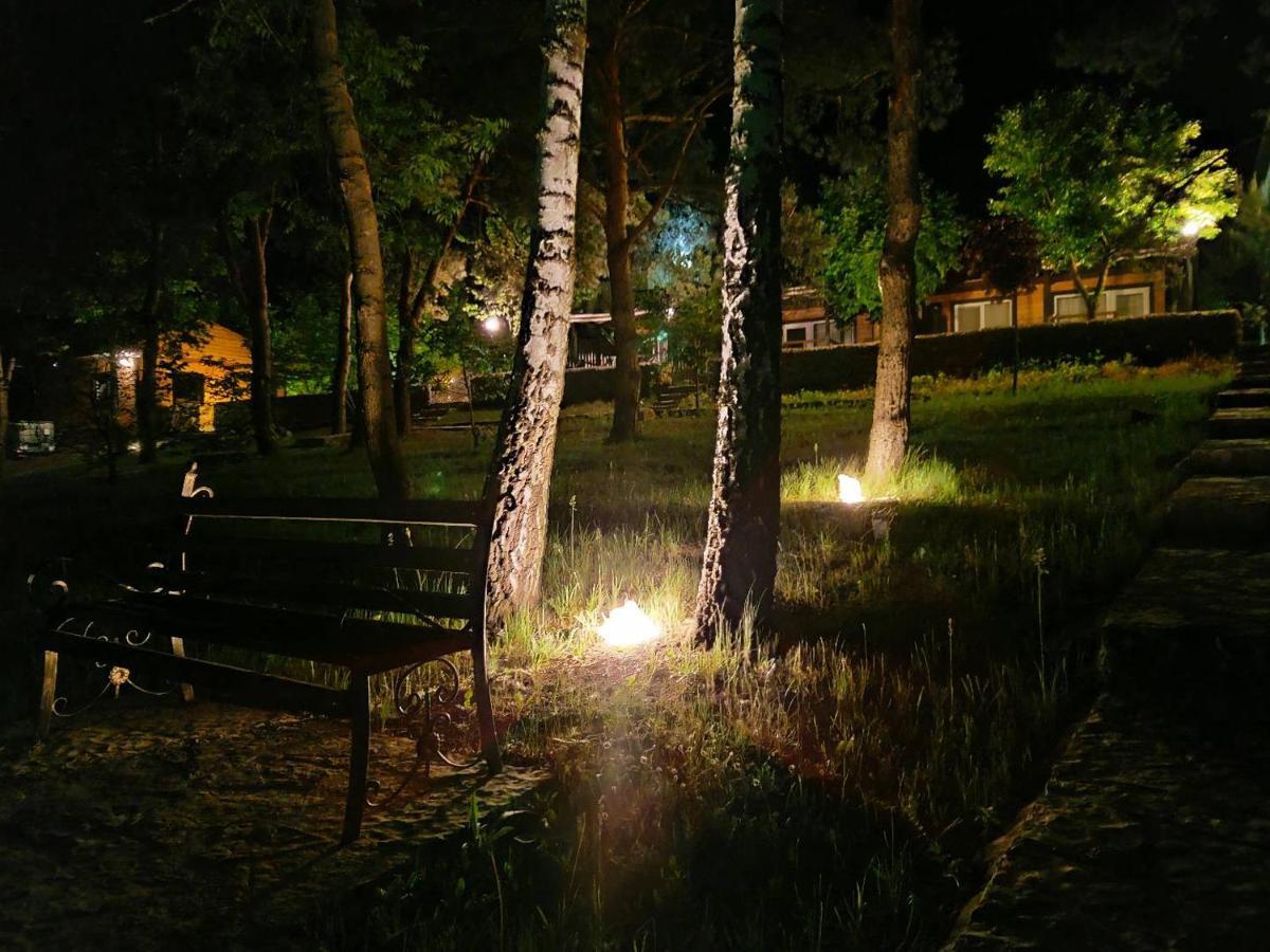 Воллен Zhvanets Exterior foto